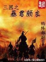 幽默版三国小说,三国之巅峰小说