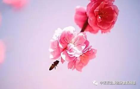 雨水节气养生小知识,雨水节气养生小贴士