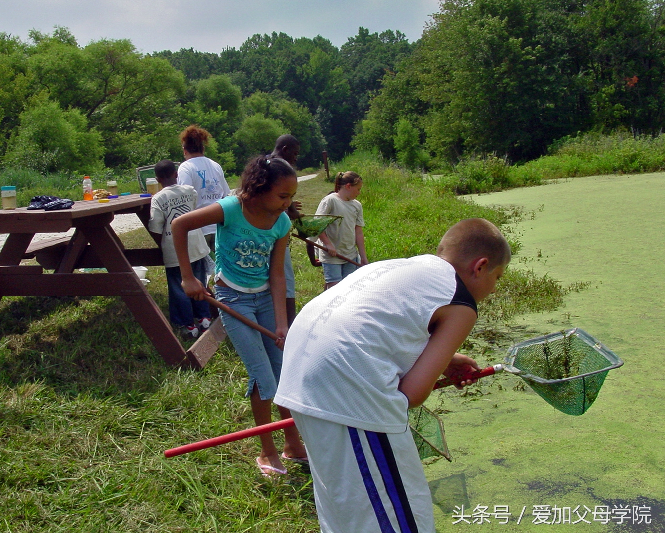 德国人教育孩子的方法,德国人是怎样教育孩子的专注力的