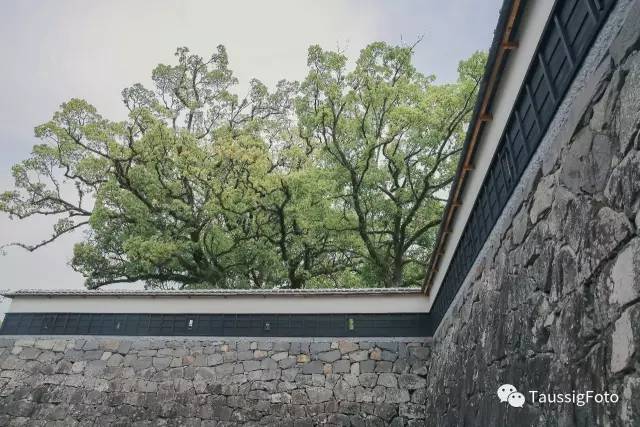 日本大阪旅游地震,日本旅游福岛地震