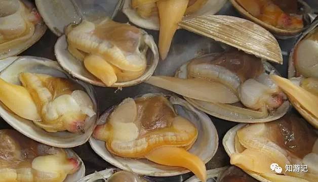 秦皇岛海鲜大排档,秦皇岛海鲜美食攻略