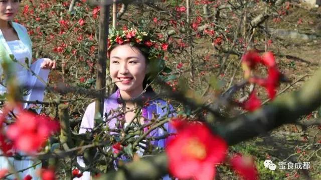 这里的春天最美丽歌词 (这里的春天最美丽)