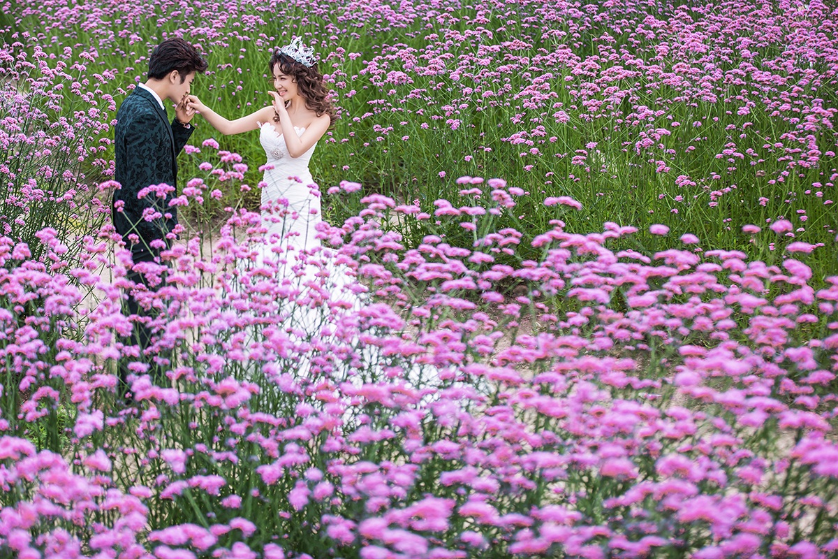 薰衣草的浪漫花语和寓意,薰衣草花语和寓意是什么