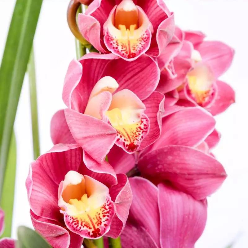 外交部蓝厅,外交部蓝厅在哪