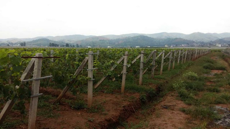 户县撤县设区哪一年,鄠邑区被规划到哪里了