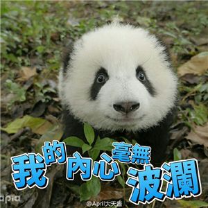 抱大腿暴富后续,抱大腿走上人生巅峰