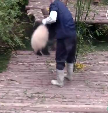 抱大腿暴富后续,抱大腿走上人生巅峰