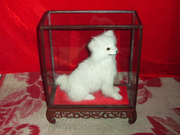 小本创业女性创业,10个最火的创业小项目