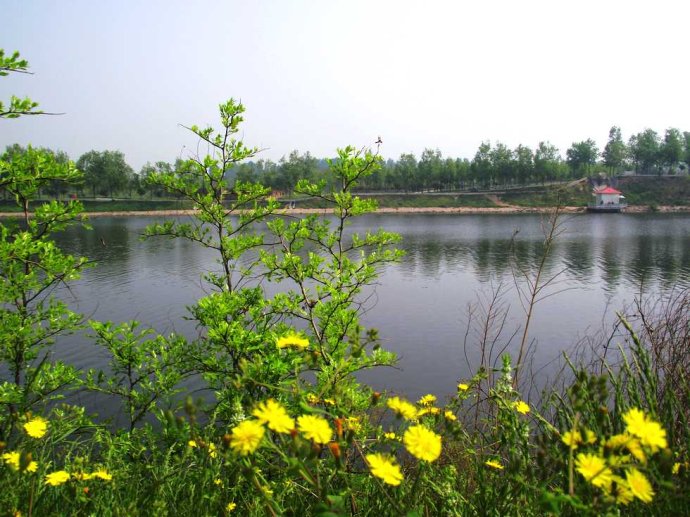 漯河为什么叫漯河,临颍县在漯河什么地位