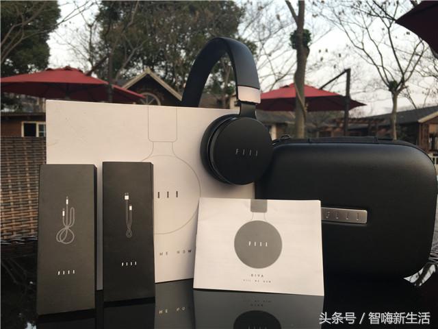 歌姬的狂躁,FIILDIVA无线降噪耳机评测