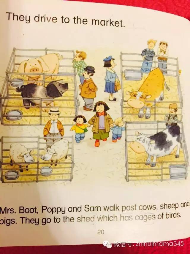 听西西读英文《农场故事集》第二篇：MarketDay