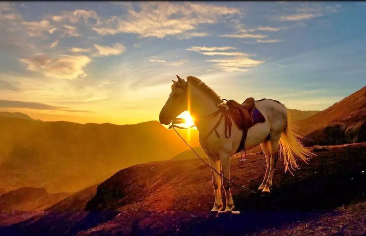 bromo活火山在哪,bromo火山超详细攻略