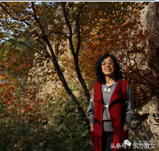 那些感人的小狗的一生,从狗肉馆里死里逃生的小狗