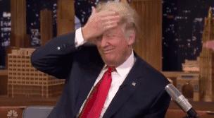 春天在这里｜气味研究所