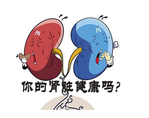 百病食疗食谱大全表,倪海厦关于肾功能衰竭的饮食忌讳