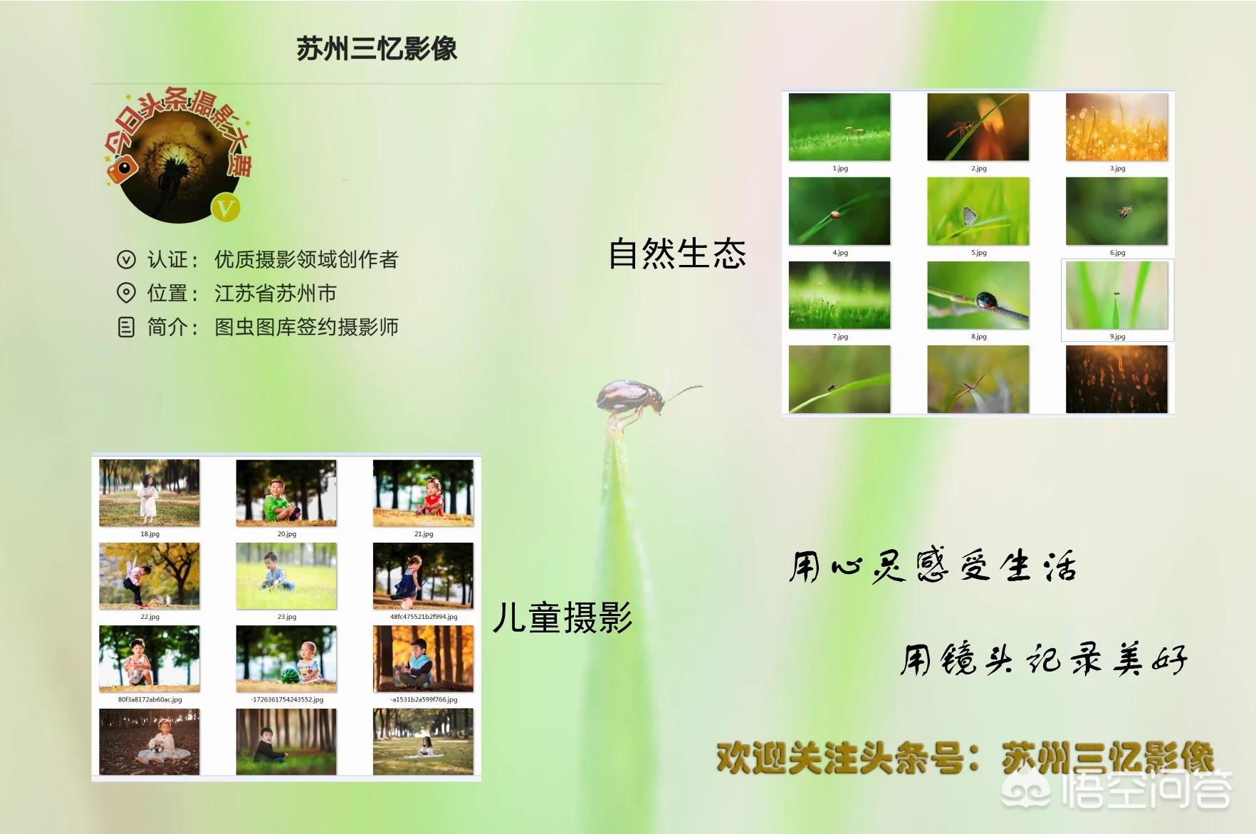 尼康d300s自动对焦怎么设置,尼康d300s单反相机测评