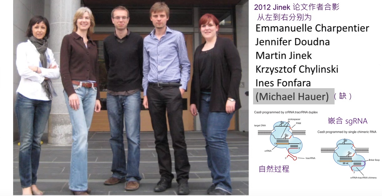 张锋基因编辑专利之争,张锋crispr