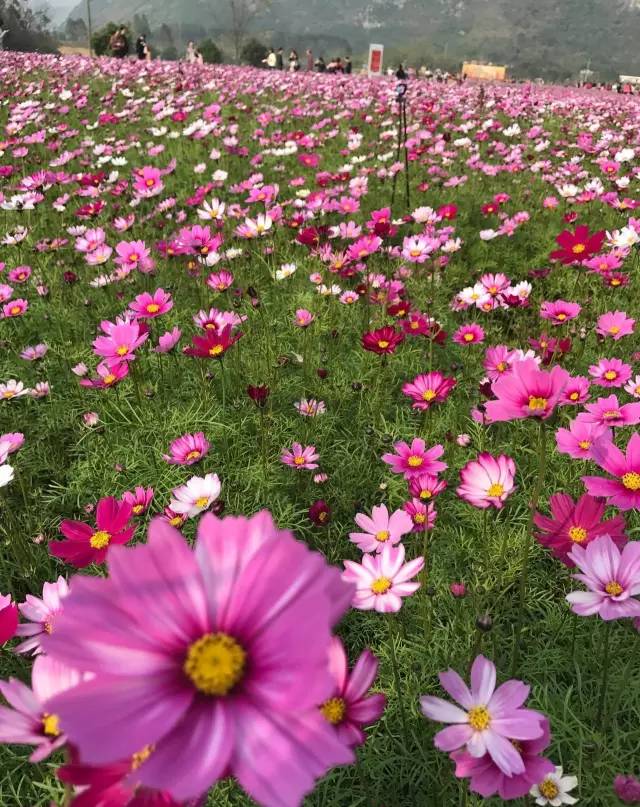 南宁适合春游前十个地方,南宁踏青去哪儿