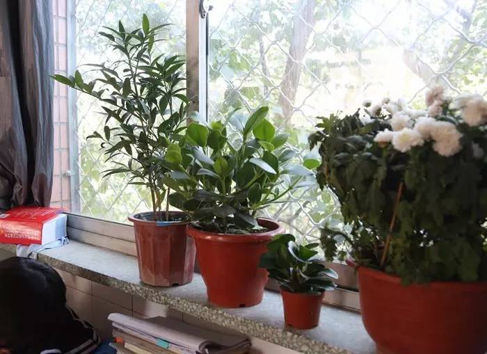 小学生开学教室布置,开学布置教室黑板报