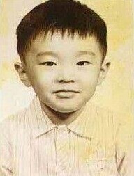 朱茵紫霞仙子回眸,朱茵大话西游之后再无紫霞仙子