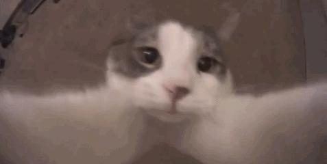 定位赛10场全胜什么段位,定位10局全赢什么段位