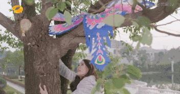 大写的不信！陈乔恩张含韵胡歌张翰……Ta们都曾失忆过？！