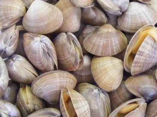 威海的海鲜什么时候是旺季,威海应季海鲜