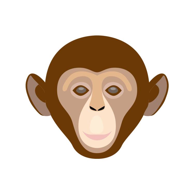 2016年是什么猴,2016年是属什么猴