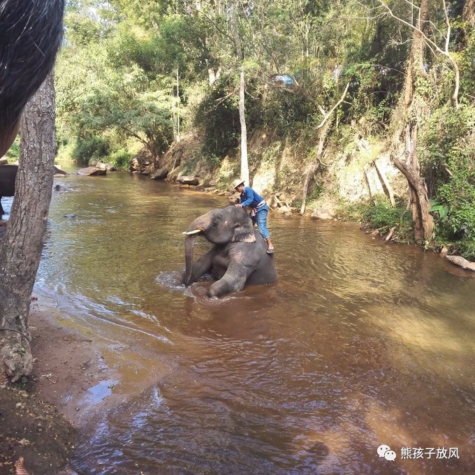 能在异国被警察抓也没谁了吧？这是我的清迈，和你去的不一样！
