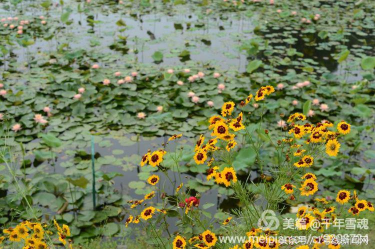 永远的余子店——文/刘宏冰