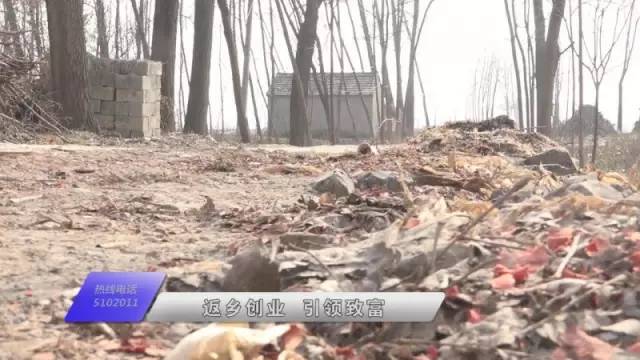 河南省永城市陈集镇望庄村时楼村,陈集镇望庄村