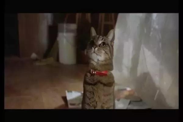 这是你们要的大长腿，备好纸巾，准备上下其手吧