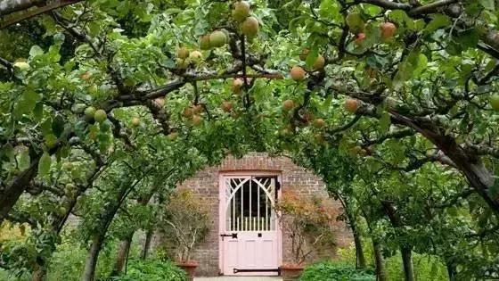 待位64年的王子，花30年将450万㎡荒地打造成世界最美庄园