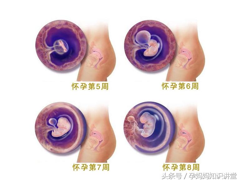 孕期准妈应该做什么,怀孕后第一个月孕妈要注意些什么