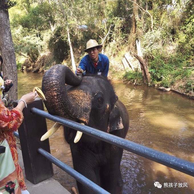 能在异国被警察抓也没谁了吧？这是我的清迈，和你去的不一样！