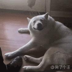 爆笑动态图：大自然，最杰出的艺术家！（第3182期）