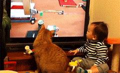 送女朋友生日礼物送什么好,生日礼物送什么给女朋友才是最好