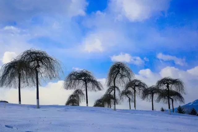 去长春推荐住宿地点,长春旅游比较好的酒店