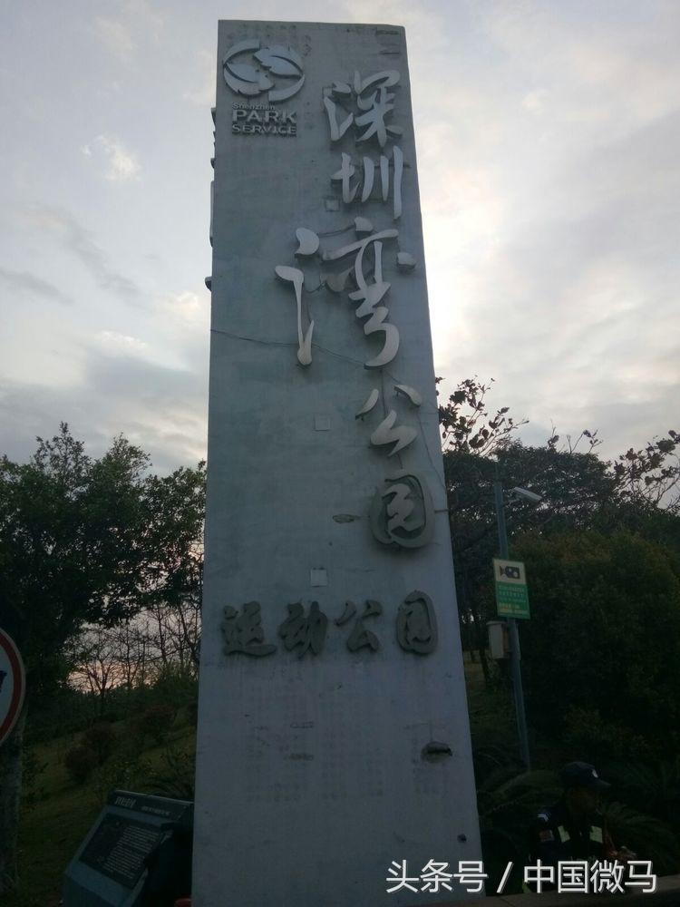 深圳湾公益活动,深圳湾公园公益长跑