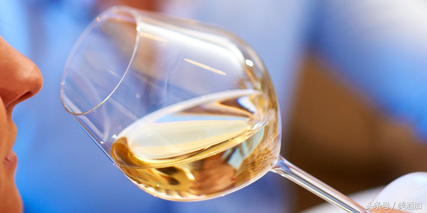 一直被全世界冤枉的白葡萄酒,等你来评理