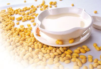 豆浆机国内外发展现状,高端豆浆机