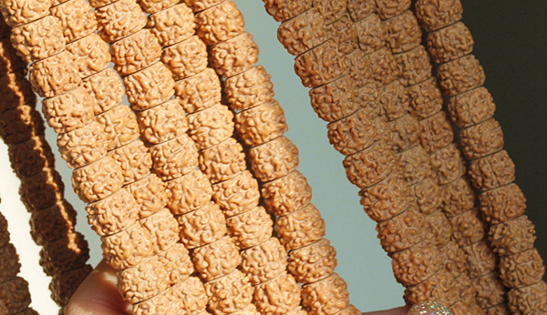 小金刚菩提纹路里有白色东西,纹路深和纹路浅的小金刚