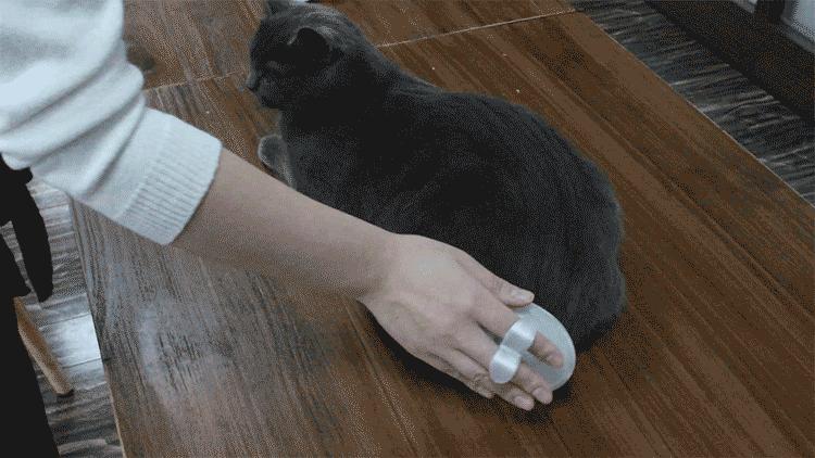 宠物除毛梳,宠物除毛神器哪个好用