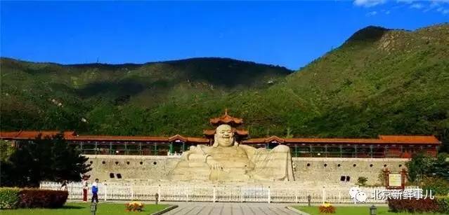 北京最美赏花公园在哪,北京赏花公园景点推荐