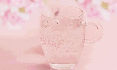 星巴克樱花官方,2022年星巴克樱花新品