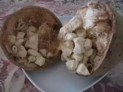 人类未来的重要食物是什么,美国十大未来食物