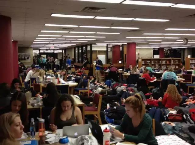 澳洲华人最怕什么,澳洲留学最后悔的十个专业