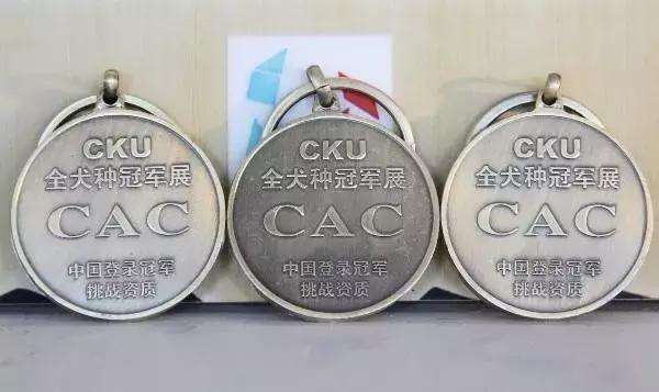 狗狗打比赛项目有哪些,狗狗比赛都有什么项目