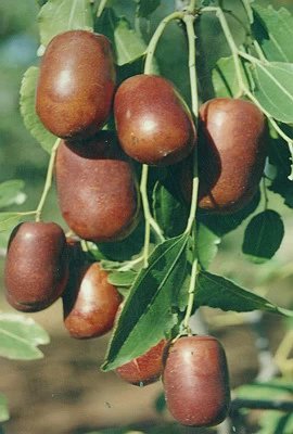 孕期知识大全及注意事项书,孕期检查项目时间表注意事项