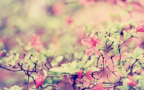 今日话题——三月来了，你最想做点什么？